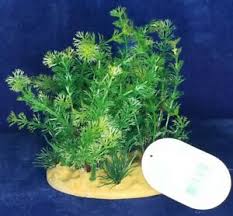 Shop all fish ornaments online. Top Fin In Aquarium Decorations For Sale Ebay