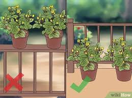 How to grow balcony garden. How To Manage A Balcony Garden 12 Steps With Pictures Wikihow