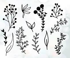 La Direction Generale Des Fichiers Svg Plantes Branche Vector Fleur Decoration Svg Ornement Floral Clipar Branch Vector Vector Flowers Flower Decorations