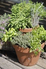 Platzsparende Ideen Fur Einen Krautergarten Auf Dem Balkon Krautergarten Palette Krautergarten Balkon Balkon Pflanzen