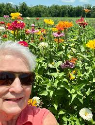 These zinnias are stunning. They are over 5 ' tall. So pretty .