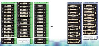 Denture Bourke Dental Supply