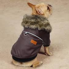 Leather Jacket For Small Dogs Products Dog Jacket Dog