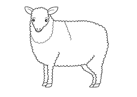 Print the color version for a simple and easy sheep craftactivity then glue the pieces and collect adha sheep craft easily. Free Printable Sheep Coloring Pages For Kids