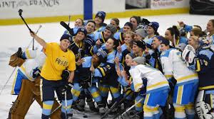 Just enter your name and industry and our logo maker tool will give you hundreds of logo templates to choose from professionally made to fit your business. Nwhl Announces Plan To Start Condensed 2021 Season On Jan 23