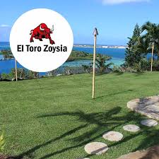 40 years of manufacturing in the usa. Grasses Hawaiian Turfgrass