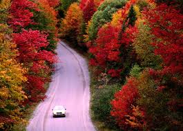 Image result for New England fall scenery