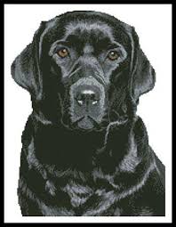 Bird on branch silhouette cross stitch pdf pattern | etsy. Black Labrador Cross Stitch Pattern