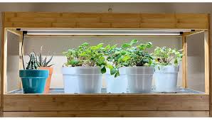 We did not find results for: Growing Vegetables Indoors Under Led Grow Lights Gardeners Com
