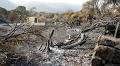 Political Tensions Rise in Galicia Following 2025 Forest Fires