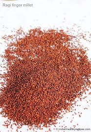 Ragi Flour Recipes Ragi Powder Finger Millet Flour Ragi Recipes Recipe In 2020 Ragi Recipes Flour Recipes Millet Flour