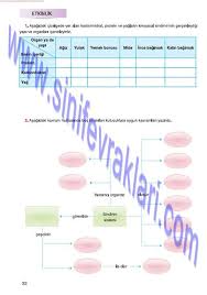 7 Sinif Fen Bilimleri Mevsim Yayinlari Ders Kitabi Cevaplari Sayfa 22 7 Sinif Fen Bilimleri Mevsim Yayinlari Ders Kitabi Cevaplari Sayf Kitap Sinif Yag