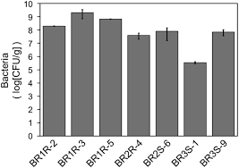 Plant cells have a rigid, protective cell wall made up of polysaccharides. An Efficient Direct Screening System For Microorganisms That Activate Plant Immune Responses Based On Plant Microbe Interactions Using Cultured Plant Cells Scientific Reports