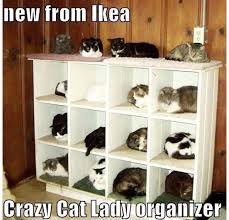 New From Ikea Ikea Cat Crazy Cats Funny Cat Memes
