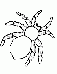 Spider and web coloring pages. Spider Coloring Pages Printable Coloring Home