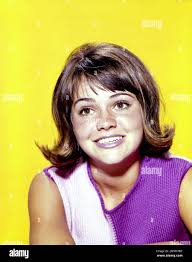 Sally cooper hi-res stock photography and images