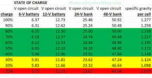 Tips on travelling and batteries. Battery State Of Charge