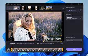 HitPaw Watermark Remover 3