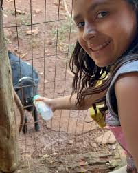 Olívia Dias (@doterra_olivia_consultora) • Instagram photos and videos