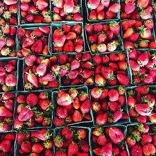 Explore other popular food spots near you from over 7 million businesses with over 142 million reviews and opinions from yelpers. 42 Places To Pick Strawberries In Georgia Explore Georgia