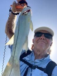 Another day, another snook....