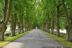 Image result for site:byggahus.se larmdekal