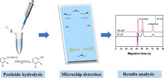 This tiny device provides your pet with permanent identification to give them. Rapid Detection Of Carbamate Pesticide Residues Using Microchip Electrophoresis Combining Amperometric Detection Springerlink