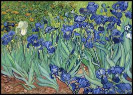 Vincent willem van gogh ( dutch: Irises Vincent Van Gogh Poster Kunst Kunstdruck Posterstore De