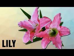 How To Pronounce Lily Pronunciation In Hindi Flowers Hd Lehren Kids Youtube