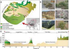 Check spelling or type a new query. Cenozoic Evolution Of The Steppe Desert Biome In Central Asia Science Advances