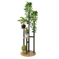 Da posizionare sempre in prossimità di finestre o lucernai. Yardwe Fioriera Vaso In Legno Forma Di Barile Per Piante Grasse Succulente Cactus Decorazione Giardino Giardino E Giardinaggio Mustafasklepmiesny Utensili Per Il Giardinaggio