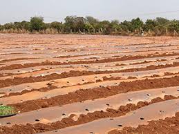 Recent land and properties your dream starts here looking for your dream land to build your dream home, your private retreat, your agriculture venture or your grand resort or your real estate empire; Agriculture Land For Sale Agriculture Classifieds