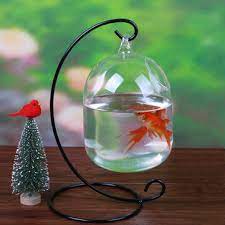 You are not going to find those qualities in a. Aquarium Fish Tank Glass Hanging Bowl Flower Plant Vase Table Fish Bowl Height 15cm For Betta Fish Pet Products Sale Banggood Com
