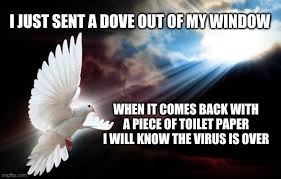 COVID-19: finding humor in dark corners - Page 5 - Survivalist Forum