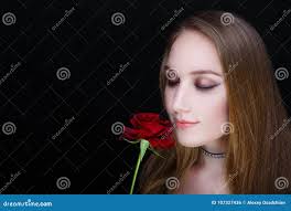 10,208 Free Rose Stock Photos