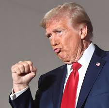 Trump rally: Erie to seek reimbursement from Sunday's event