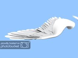 Dec 15, 2020 · rump. Bird Wing Blender Tests Blender Artists Community