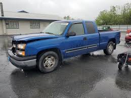 Image result for Blue Seta 2005 159