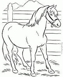 صور حيوانات للتلوين للأطفال 2017 رسومات تلوين للأطفال 2018 صور و خلفيات الوليد horse coloring pages horse coloring books animal coloring pages