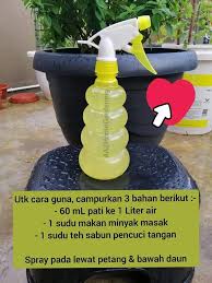 Humus atau bahan organik tanah merupakan faktor terpenting bagi kesuburan tanah. Semburan Cili Ni Memang Berkesan Halau Serangga Perosak Waktu Pokok Sedang Berbuah Mesti Buat Keluarga