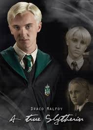 He preferred to teach the most ambitious students, and the members of this house have often come to be the most powerful witches and wizards. Darco Malfoy A True Slytherin Draco Malfoy Harry Potter Draco Malfoy Draco Harry Potter