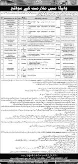 Wapda Teaching Jobs 2020 Pts Apply Online Teaching Jobs Graduating Teacher Teaching
