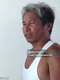 1,282 Mula Stock Photos, High-Res Pictures, and Images