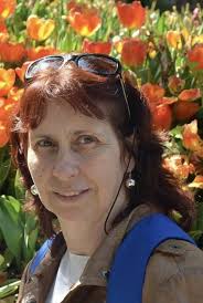 História dos hospitais de Lisboa revela evolução da medicina e da saúde  pública em Portugal