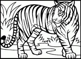 Lisa frank tiger coloring pages. Trends For Lisa Frank Panda Coloring Pages Sugar And Spice
