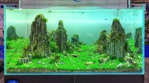 This final style is the combination of land and water within the same aquarium and can be used to create habitats such as riverbanks, bogs or the beach. Beautiful Aquascapes At Aqua 2019 Youtube