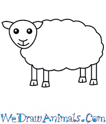 Draw a detailed sheep in 7 simple steps! How To Draw A Simple Sheep For Kids