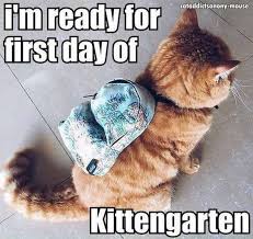 Top 25 Funny Cat Memes Cats Memes Cute Cat Memes Cats Cute Cats