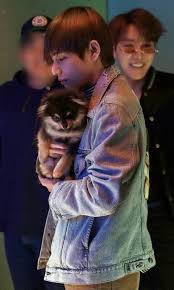 Taehyung With Cute Puppy Yeontan And Hoseok In The Background Lookin Good As Always Sangat Lucu Lucu Hip Hop