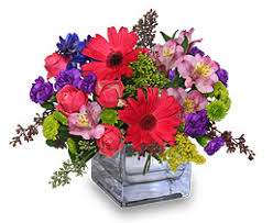 Just because gifts for your friend or s.o. Just How Mad Is She Send Flowers